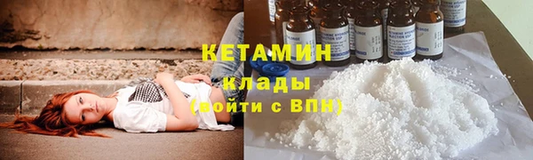 крисы Коряжма