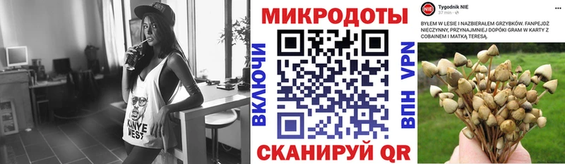Галлюциногенные грибы мухоморы  как найти закладки  Ворсма 